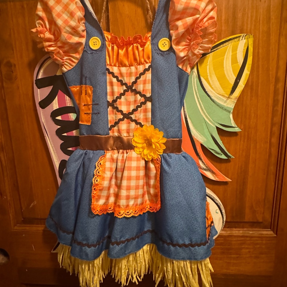 Wonder Nation Blue and Orange Halloween Costumes